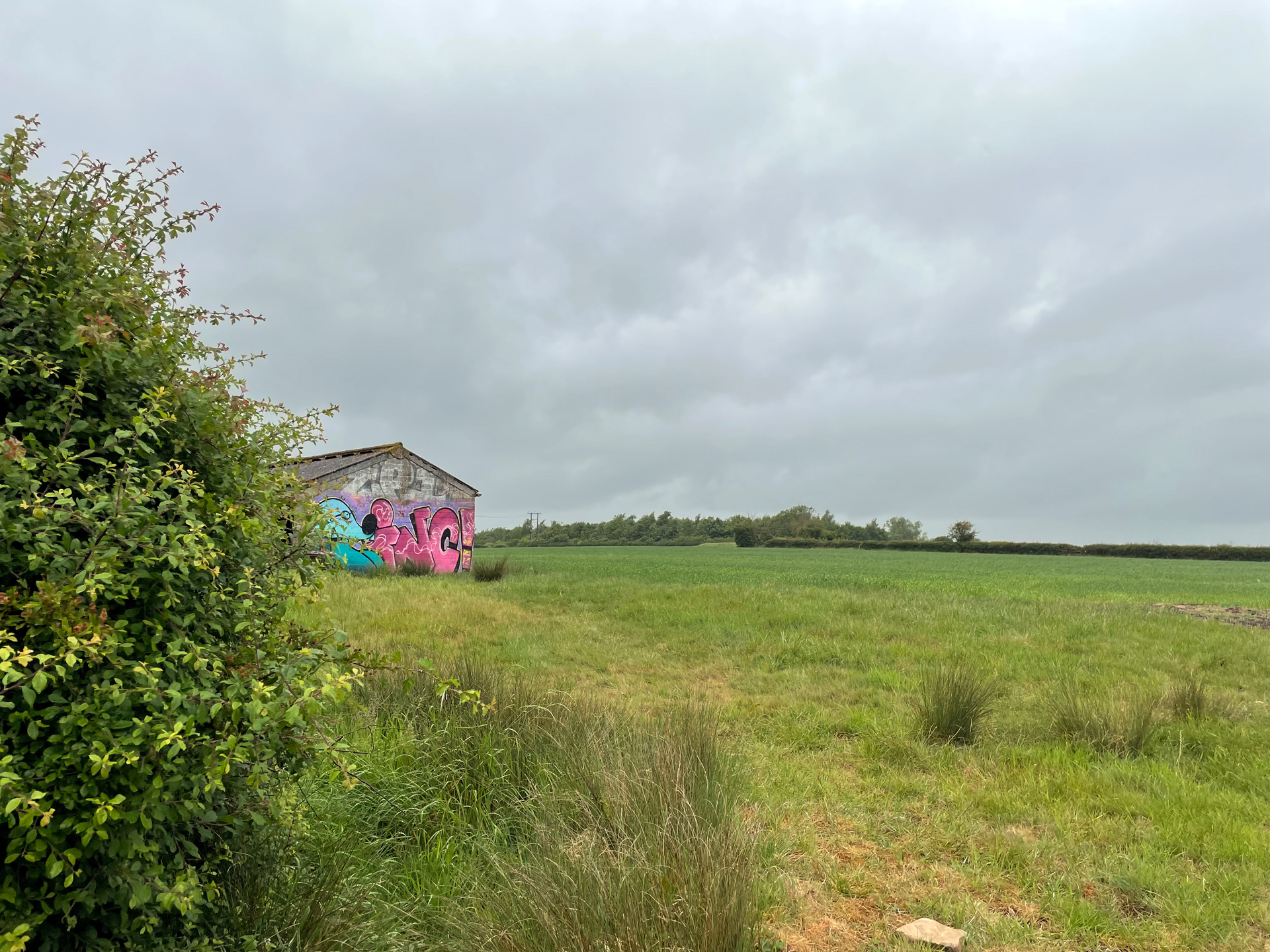 Existing site photo