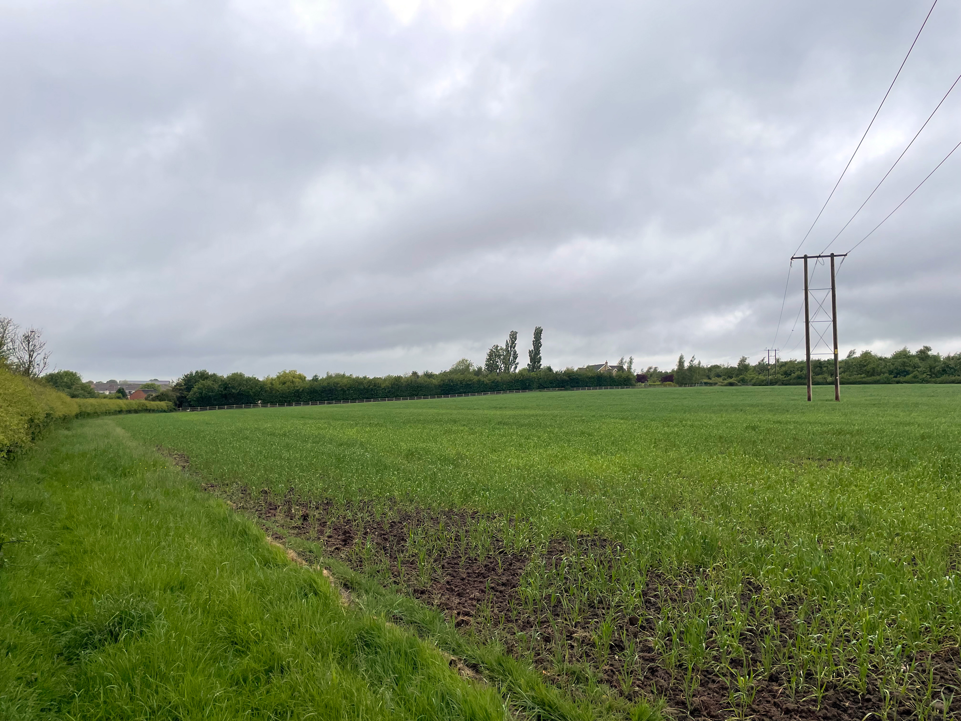 Existing site photo