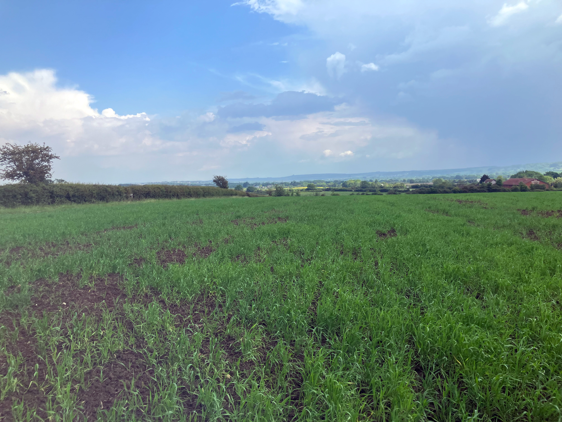 Existing site photo